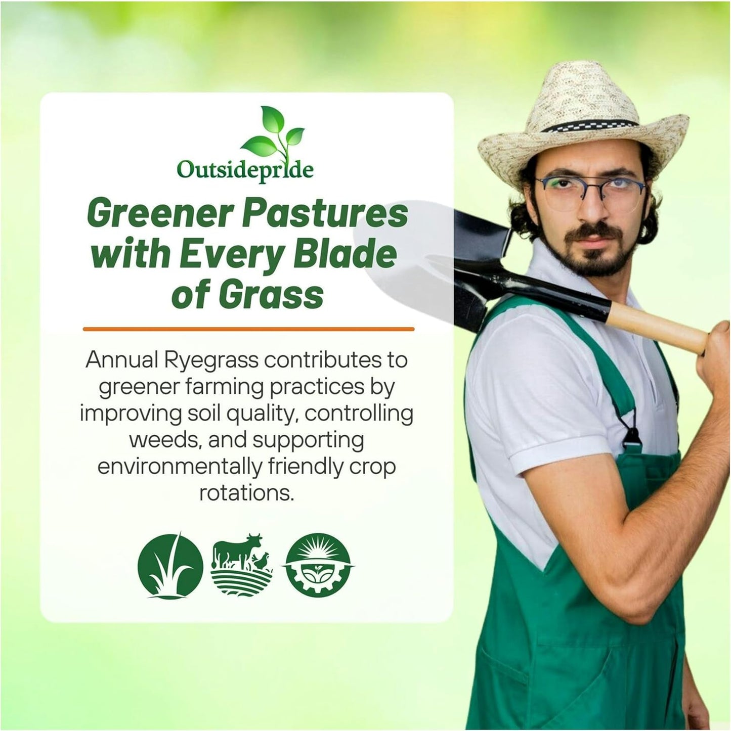 Outsidepride Ryegrass Seeds - 50 lb. Annual, Hardy & Fast-Growing, Cover Crop Seeds for Planting Glossy Dark Green Grass Leaves, Ideal for Hay Foraging, Pasture Grazing & Erosion Control