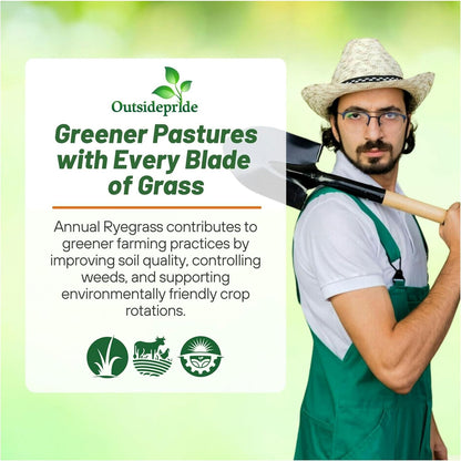 Outsidepride Ryegrass Seeds - 50 lb. Annual, Hardy & Fast-Growing, Cover Crop Seeds for Planting Glossy Dark Green Grass Leaves, Ideal for Hay Foraging, Pasture Grazing & Erosion Control