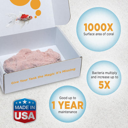 Fish Tank Rocks for Enhancing Water Clarity with Your Regular Cleaning Routine, Fish Friendly Aquarium Rocks, All Natural Aquarium Decor - Large - Covers Upto 3500 Gallons