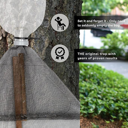 Spotted Lanternfly Tree Trap, Catch Lanternfly Without Catching Other Wildlife, Natural and Non Toxic - Made in USA