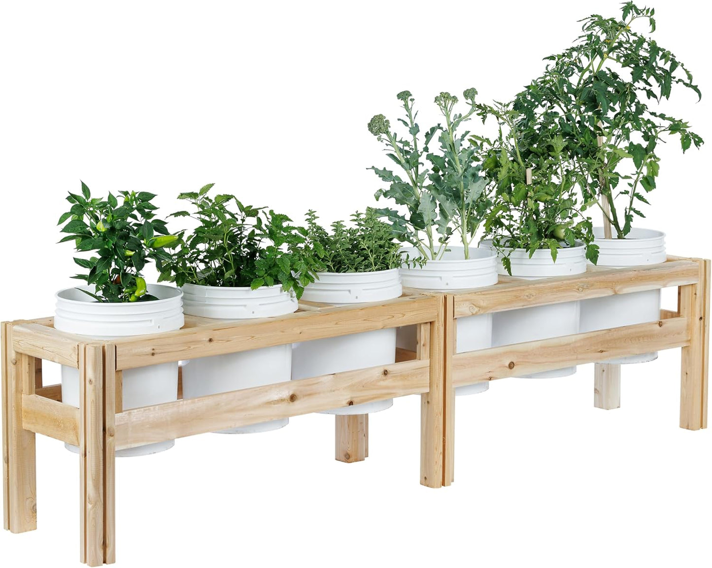 Greenes Fence Six Bucket Elevated Cedar Wood Garden Frame, 84 in. x 16 in. x 20 in. - Made in USA with North American Cedar