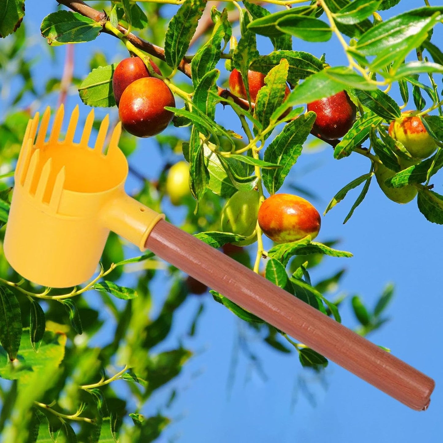 Fruit Picker Fruit Harvester Small Handheld Lightweight Garden Dates Picking Tool Harvesting Tool for Walnuts Lemon Blueberry