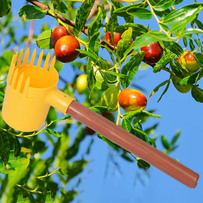 Fruit Picker Fruit Harvester Small Handheld Lightweight Garden Dates Picking Tool Harvesting Tool for Walnuts Lemon Blueberry