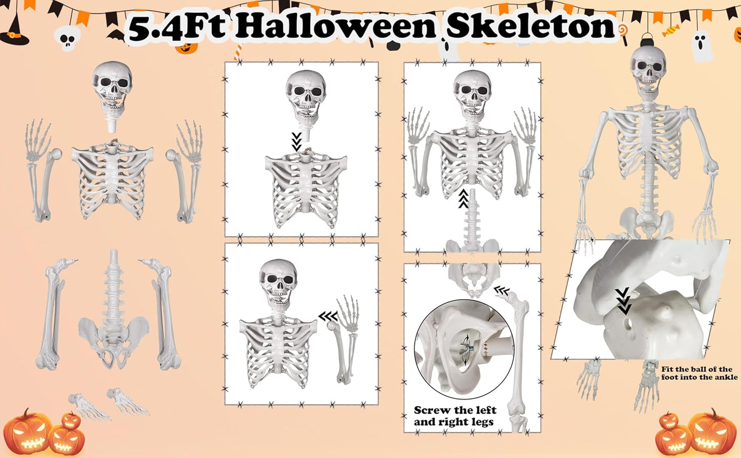 Halloween Skeleton, Realistic Life Size Skeleton with Movable Joints for Halloween Party Haunted House Indoor Outdoor Decoration (5.4ft-1P)