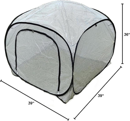 Dalen Pop-Up Mini Greenhouse - Easy Setup and Storage – 39”W x 39" L x 36" H - Special Venting Window to Ensure Breeze