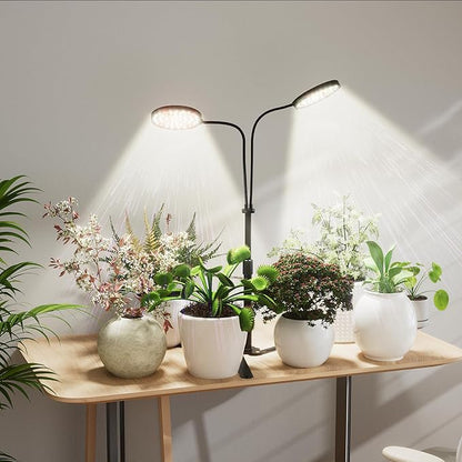 Grow Lights for Indoor Plant, 6000K 174LEDs Full Spectrum Plant Lights for Indoor Growing, 4.7'' LED Dual Ring Height Extendable Grow Light, Auto On Off Timing 4/8/12Hrs, 12V 3A Plug High Power Output