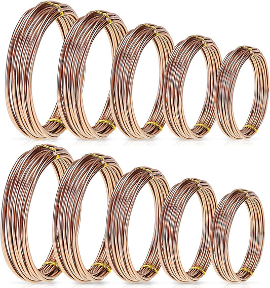 Hotop 10 Rolls Bonsai Wires Anodized Aluminum Bonsai Training Wire in 5 Sizes - 1.0 mm, 1.5 mm, 2.0 mm, 2.5 mm, 3.0 mm, Total 164 Feet (Brown)