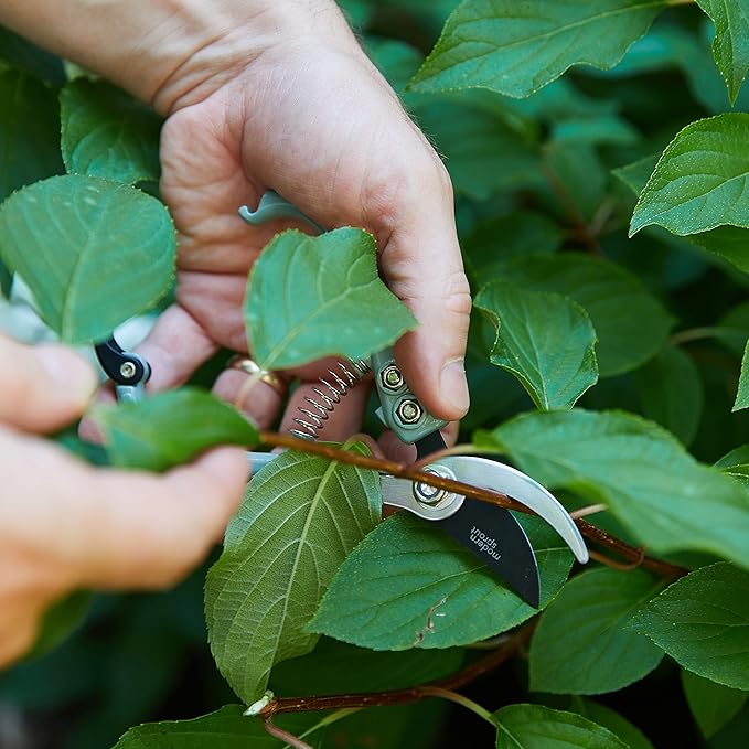 Modern Sprout Gardening Pruners, Lightweight, Durable, Green, One Size