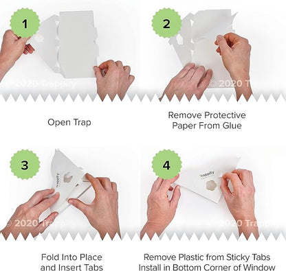 Trappify Fly Trap Indoor: Window Fly Traps for Home | Fruit Fly Traps for Indoors, Gnat Traps for House Indoor | Disposable Fly Trap with Sticky Adhesive Strips | Inside Bug Catchers (24 Pack)