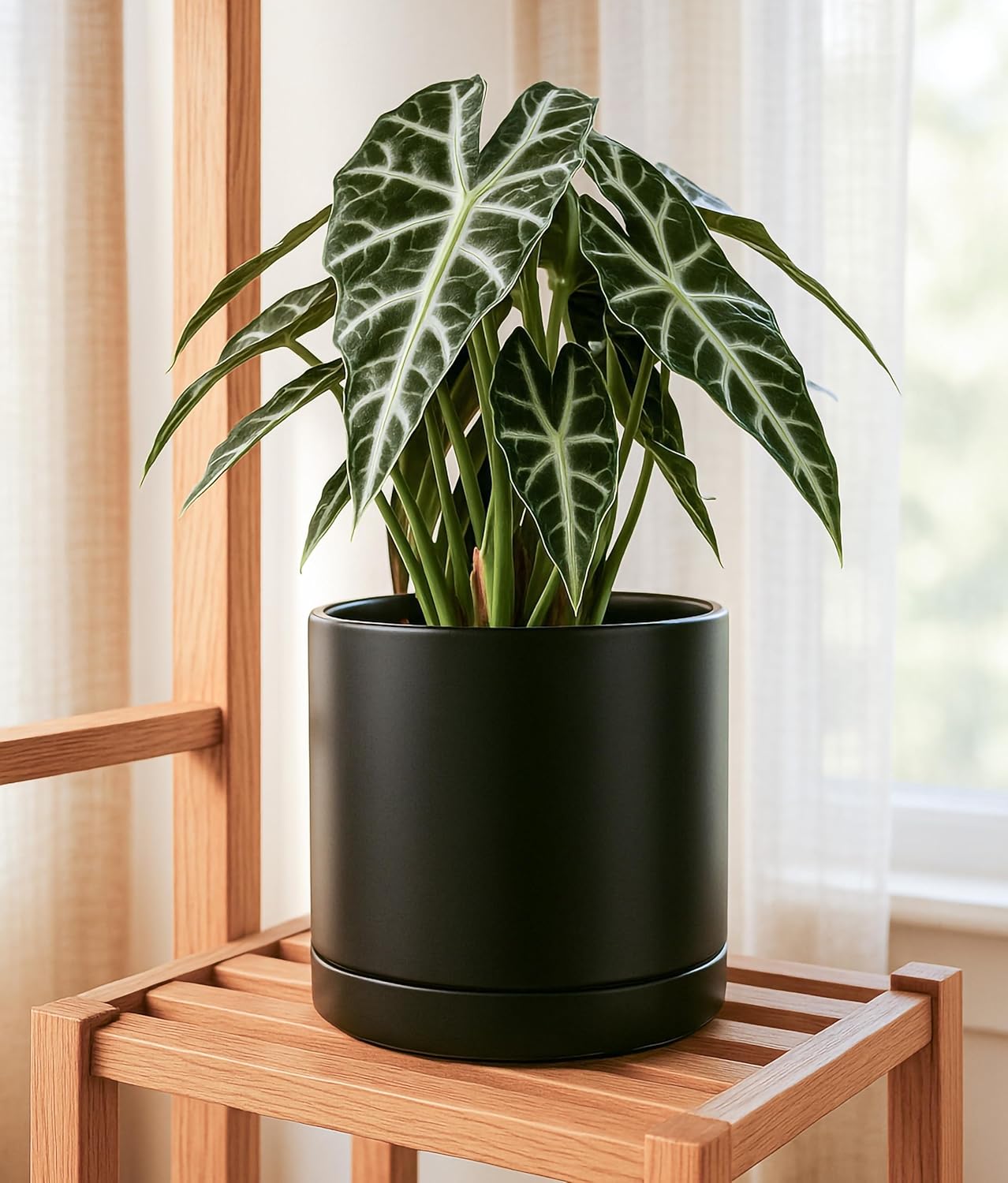 D'vine Dev Set of 2 Plants Pots, 10 Inch Ceramic Planter Pot for Plants with Drainage Hole and Saucer, Black, 94-V-E-2