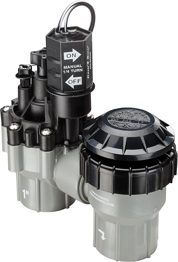 Rain Bird DASASVF100 Professional Grade Anti-Siphon Valve with Flow Control, 1" Threaded Female x Female