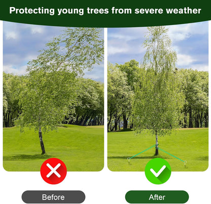 A Tree Support kit for straightening Trees, which Includes Supporting Metal Stakes and Ropes. It can Also be Used for Tree Protection in Harsh Weather and Outdoor Tent Fixation. (1)