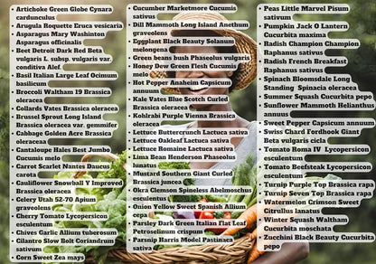 B&KM Farms 30,000+ Survival Seed Kit 5+ Year Supply. 50 Fruit & Vegetable Non-GMO Heirloom Seeds for Planting a Home Garden. Secure Emergency Weather-Proof Package(1, Large)