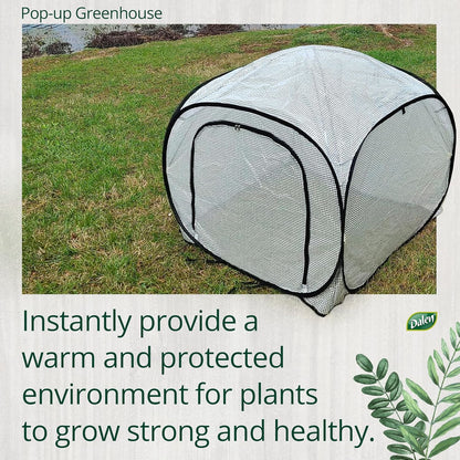Dalen Pop-Up Mini Greenhouse - Easy Setup and Storage – 39”W x 39" L x 36" H - Special Venting Window to Ensure Breeze