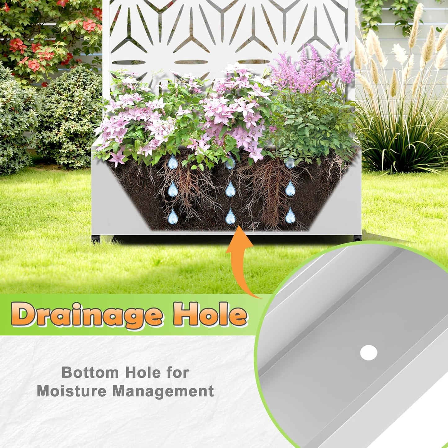 Metal Raised Garden Bed with Trellis, 2-in-1 Planter Box & Privacy Screen for Climbing Plants, Outdoor Standing Flower Bed with Drainage Holes, 35.4" L x 15.7" W x 70.1" H, White-Star