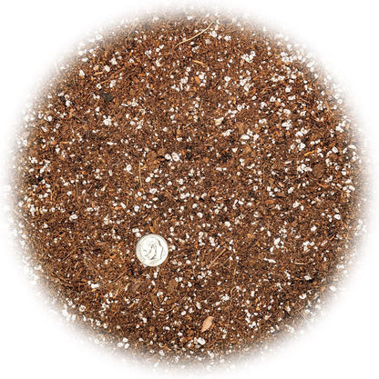 Gardenera Professional Carnivorous Plant Soil - Ready to Use for Venus Flytraps, Sundews, Pitcher Plants, Butterworts | Peat Moss, Coco Coir, Perlite - 1 Quart Bag
