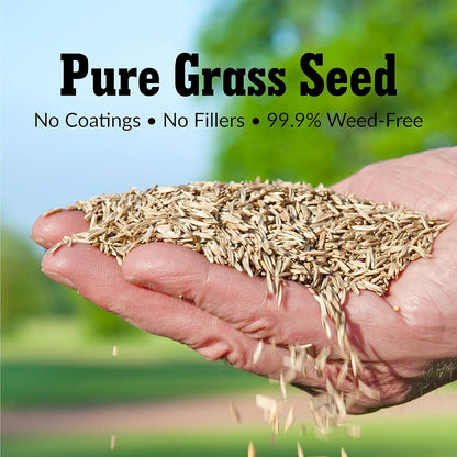 GreenView Pure Grass Seed Kentucky Bluegrass Blend, 7 lb. Bag – Covers up to 7,000 sq. ft.
