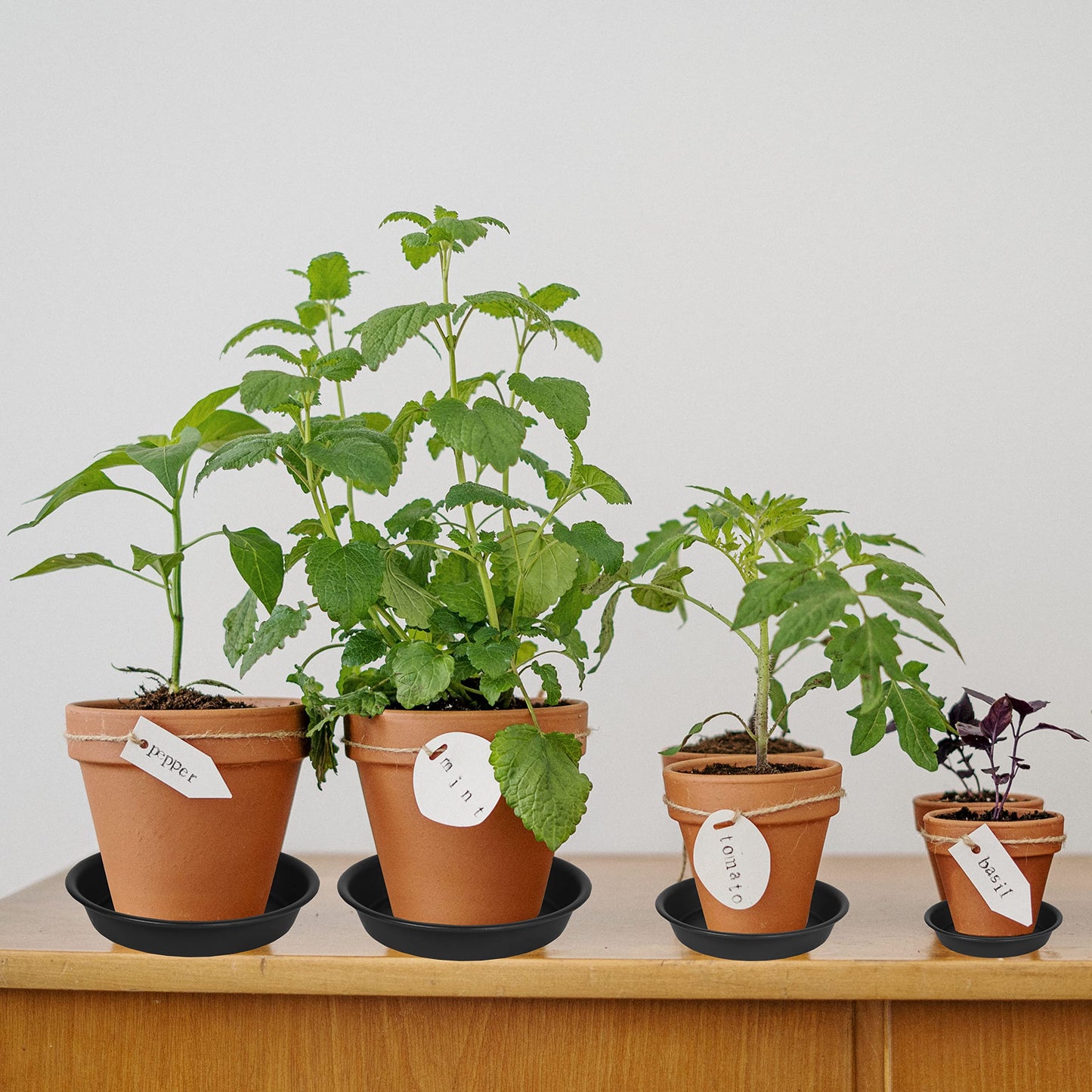 Bleuhome 6 Pack 6 inch Plant Saucer Tray, 4 6 8 10 12 15 17 19 inch Plant Saucers, Heavy Duty