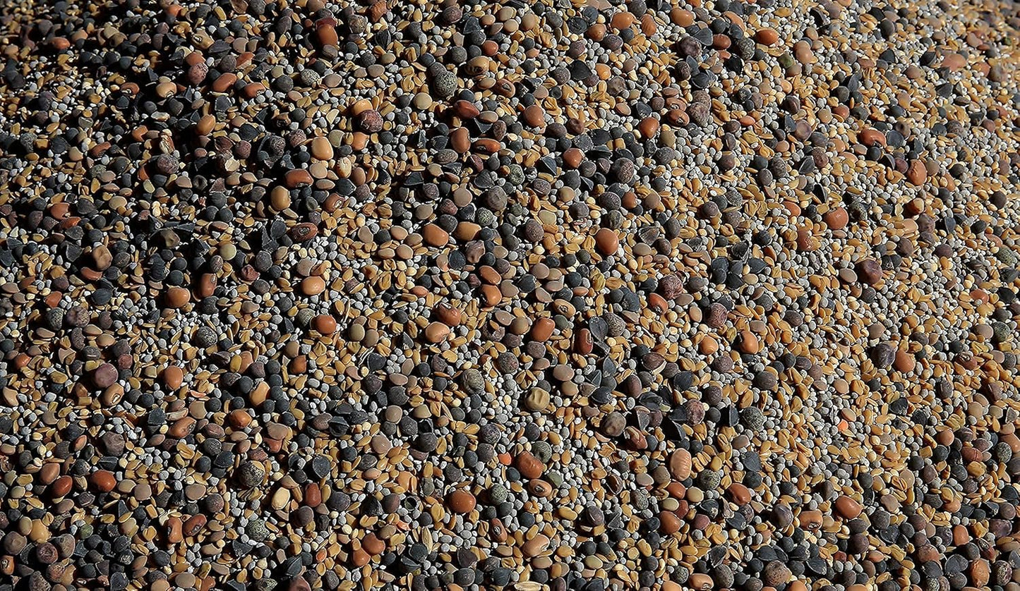 No-Till Cover Crop 13-Seed Mix (½-lb): [50% Clovers Plus Fenugreek, Vetch, Flax, Cowpeas, Buckwheat, Forage Peas, Millet, Lentils, Crimson Clover, Sweet Yellow Clover, White Clover, Medium Red Clover]