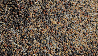 No-Till Cover Crop 13-Seed Mix (½-lb): [50% Clovers Plus Fenugreek, Vetch, Flax, Cowpeas, Buckwheat, Forage Peas, Millet, Lentils, Crimson Clover, Sweet Yellow Clover, White Clover, Medium Red Clover]
