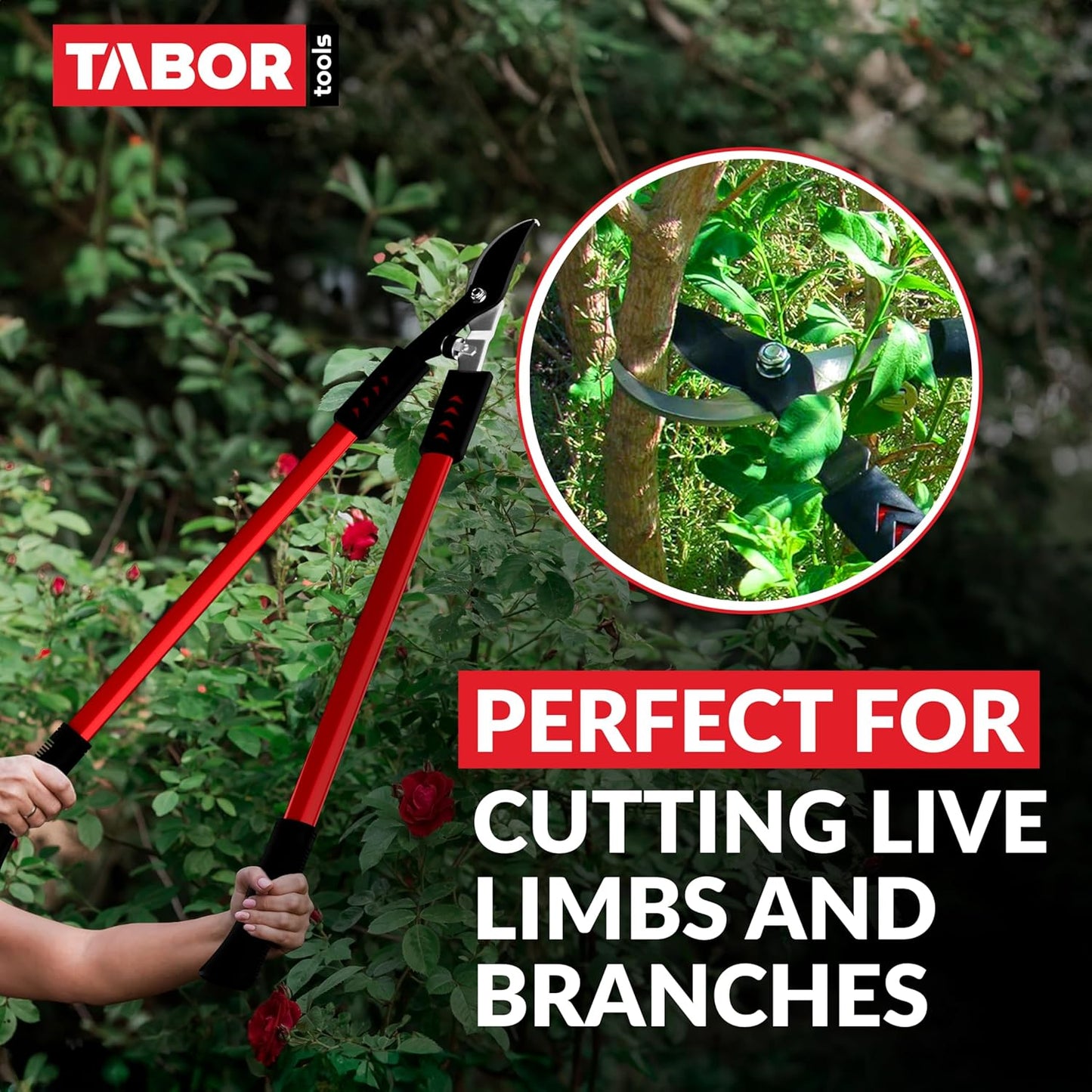 TABOR TOOLS GL16A Bypass Lopper, Chops Branches with Ease, Classic 28 Inch Tree Trimmer, Branch Cutter with 1 1/4 Inch Clean Cut Capacity.