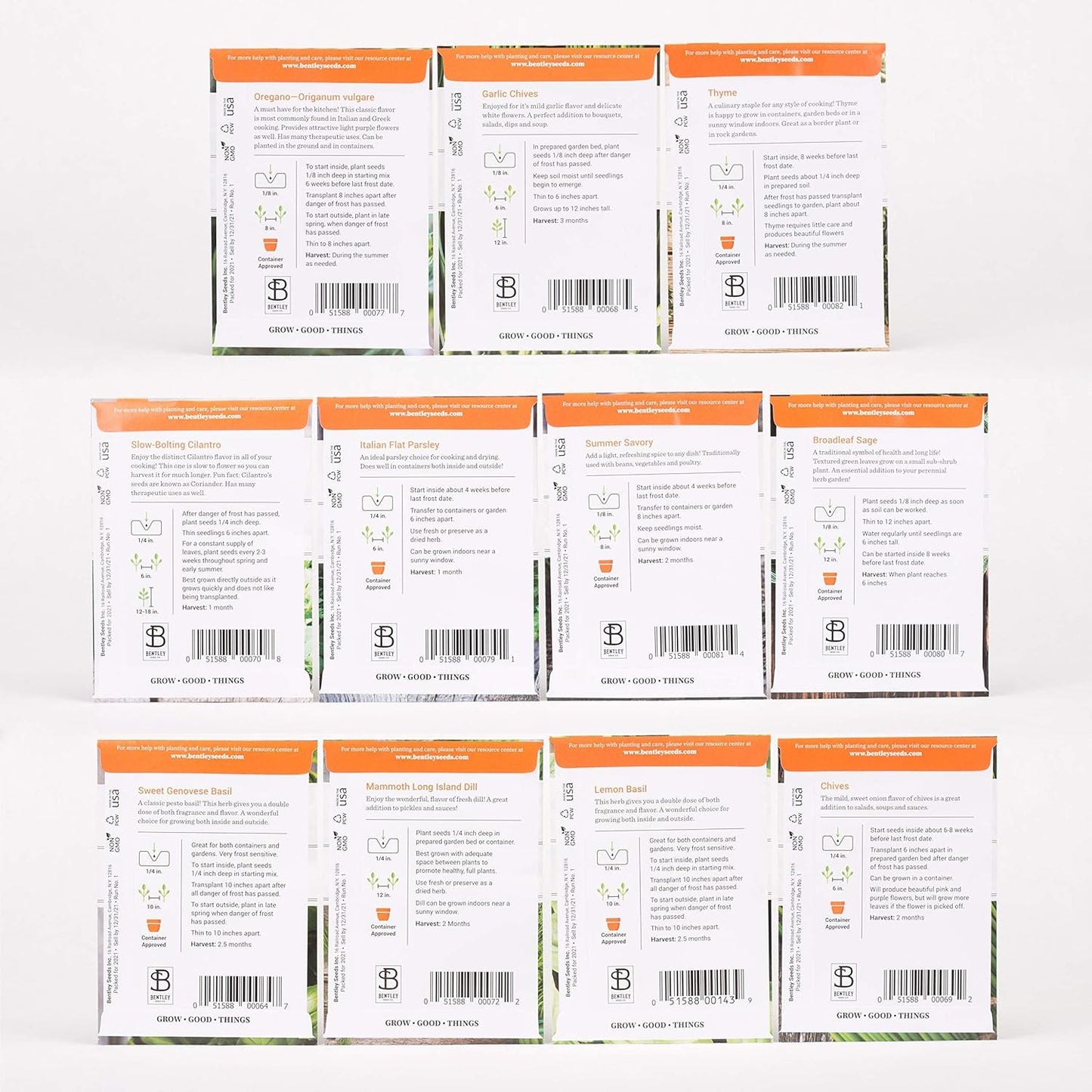 Bentley Seed Garden Variety Pack - Non-GMO Heirloom Vegetable Seeds for Planting - Assorted Herb Collection - 11 Herb Packets