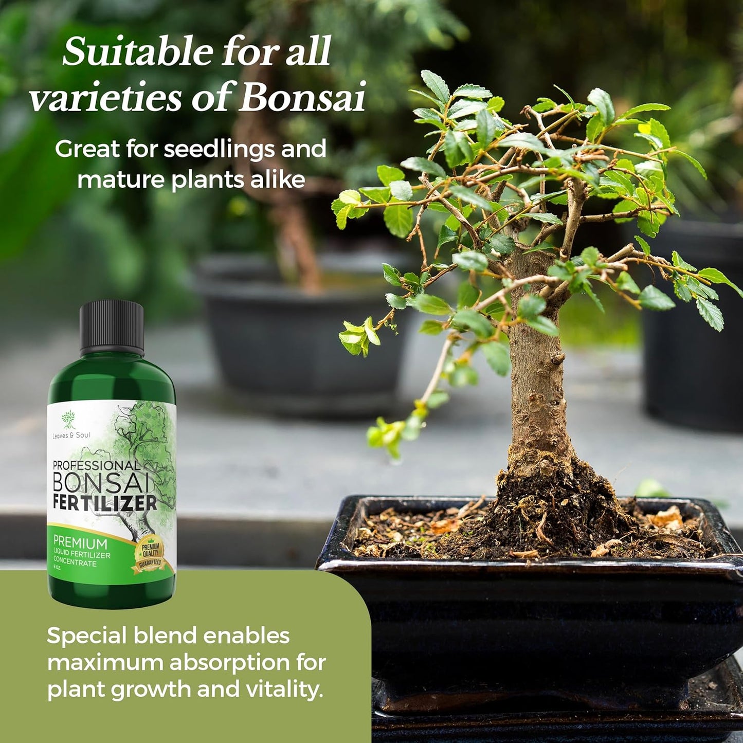 Professional Liquid Bonsai Plant Fertilizer | 3-1-2 Concentrate for Bonsai Plants and Trees | Multi-Purpose Blend & Gardening Supplies | 8 oz Bottle