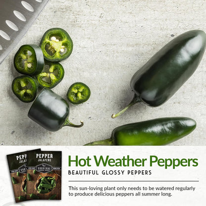Jalapeño Pepper Seeds for Planting | Hot Heirloom Non-GMO Peppers for Pickling & Salsas – Survival Garden Seeds (1 Pack)