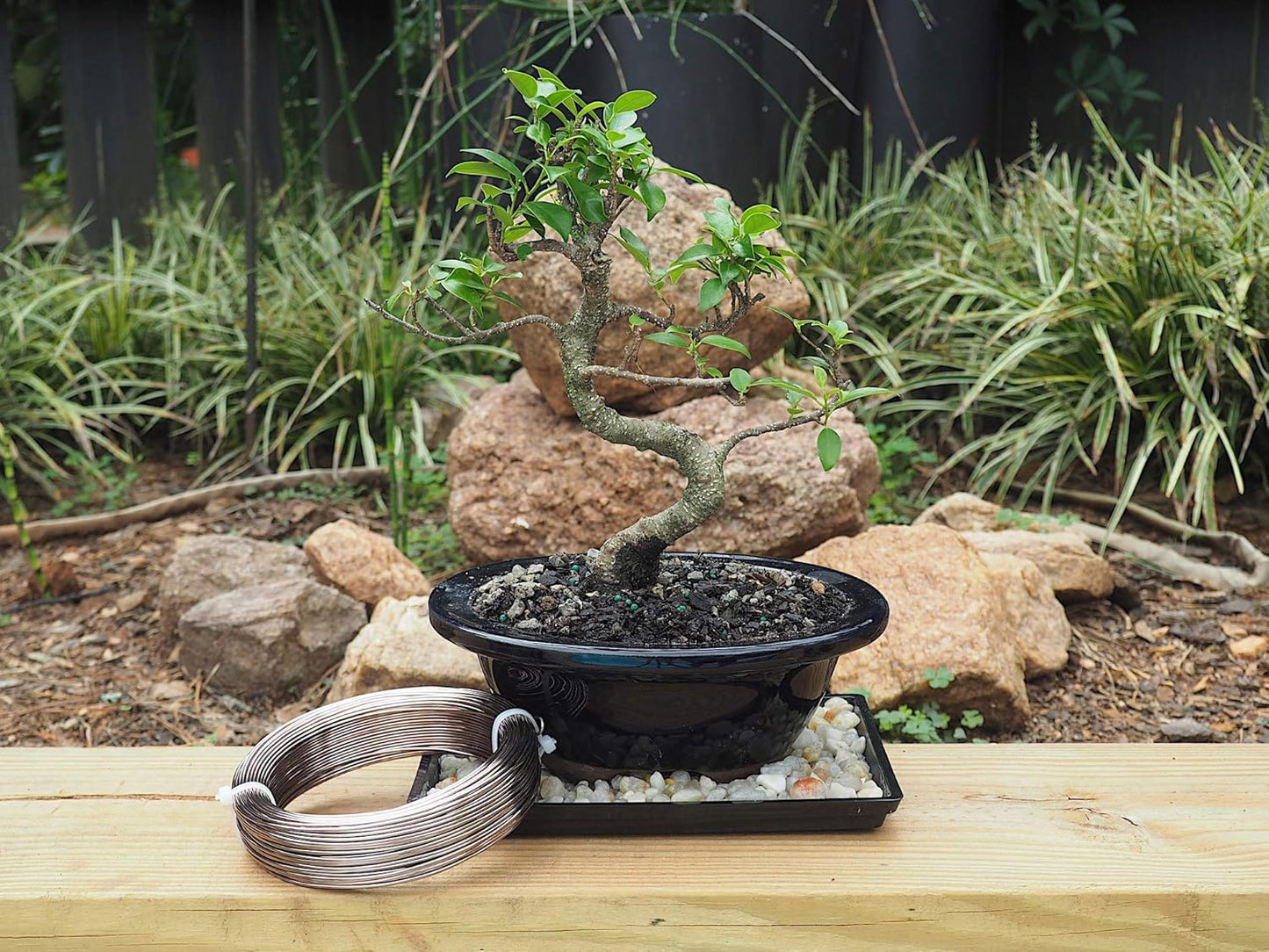 Anodized Aluminum 1.5mm Bonsai Training Wire 250g Large Roll (170 feet) - Choose Your Size and Color (1.5mm, Brown)