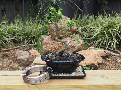 Anodized Aluminum 1.5mm Bonsai Training Wire 250g Large Roll (170 feet) - Choose Your Size and Color (1.5mm, Brown)