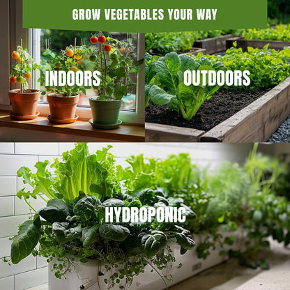 20 Vegetable Seeds For Planting Indoor Outdoor Variety Pack Home Garden Starter Kit Plant Marker 3900+ Non-GMO Heirloom Broccoli Cabbage Zucchini Cauliflower Pumpkin Celery Pea Cucumber Tomato Arugula