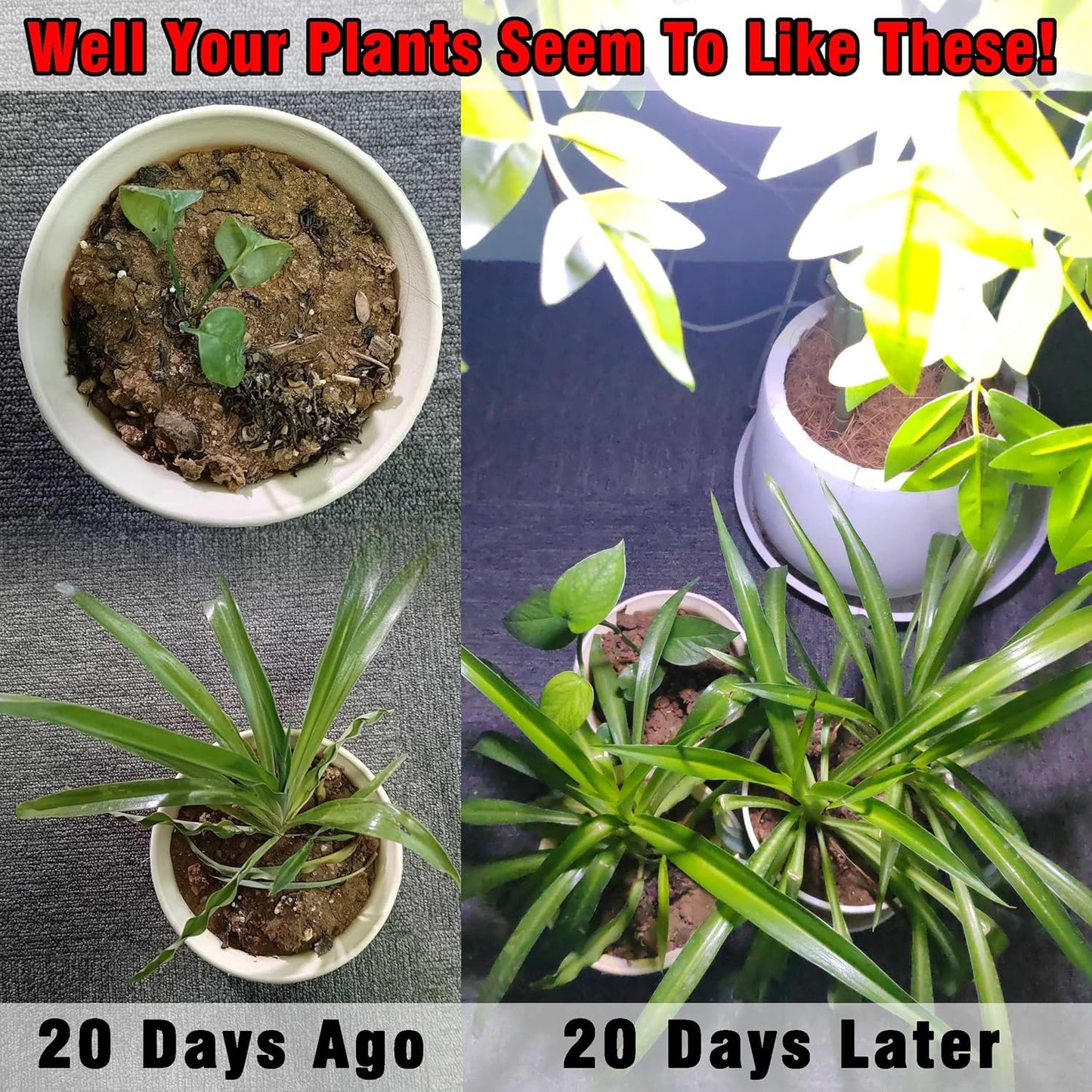 BR30 Grow Light Bulbs 18W 2000lm Full Spectrum Plant Happy Light Bulb 200W Equivalent E26 Base Balanced Spectrum 5000K Red Blue Grow Bulb for Indoor Plants Hydroponic Greenhouse Garden, 1 Pack