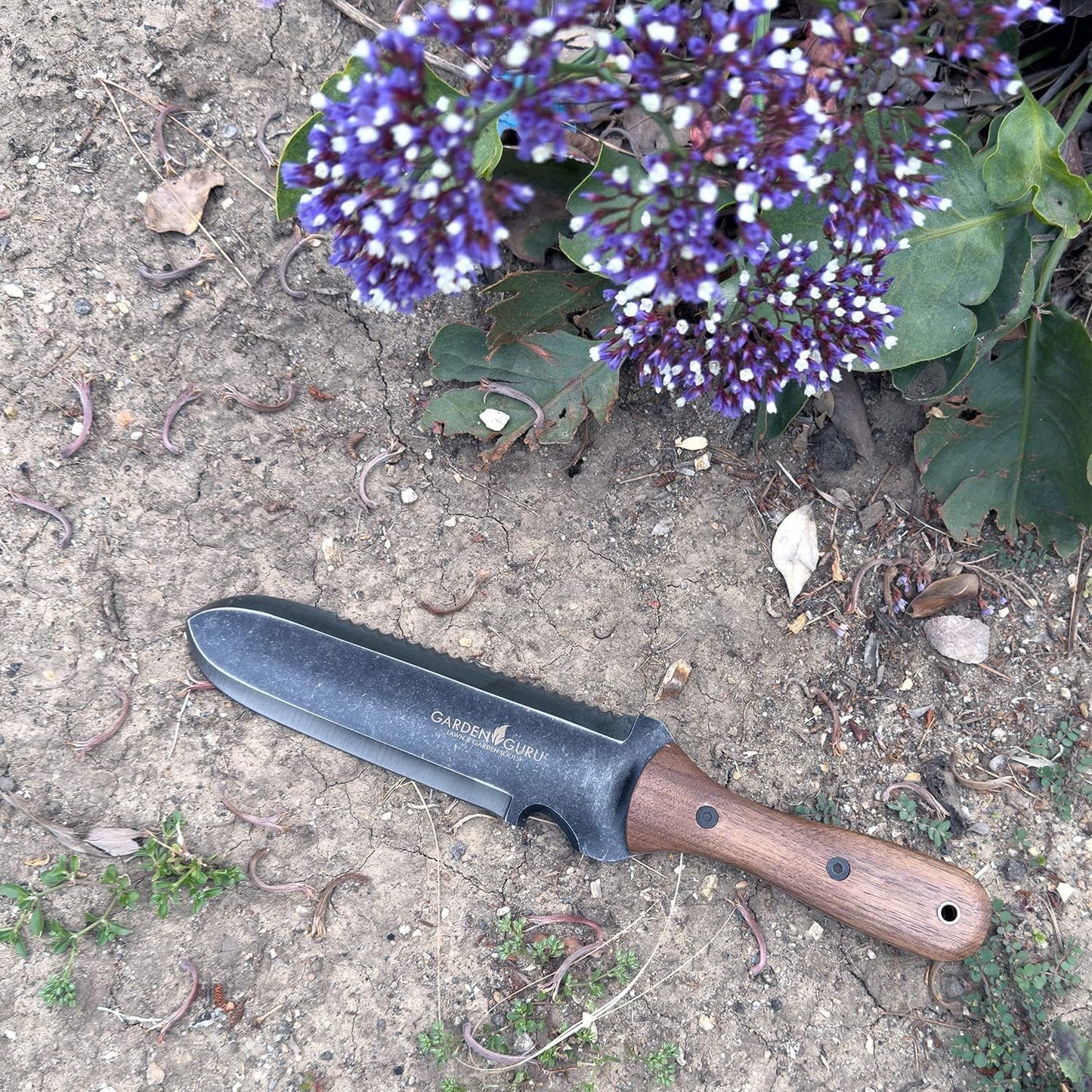 Garden Guru Hori Hori Gardening Knife for Weeding Digging Pruning & Cultivating - Stainless Steel Full Tang Blade Walnut Wood Handle Marks for Measuring Planting Depth Nylon Sheath for Storage (2pack)