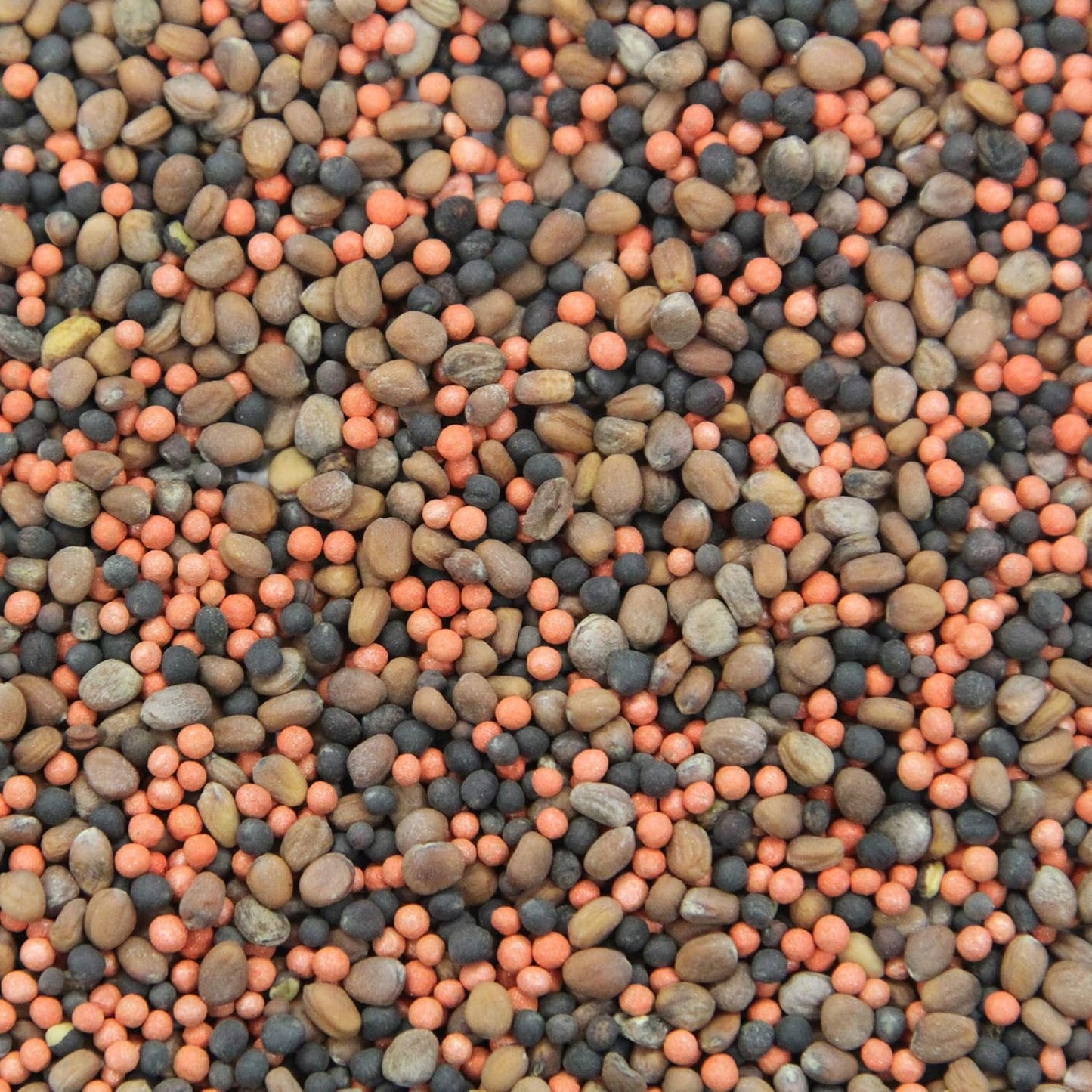 Crush Pro Brassica Blend - Fall Deer Food Plot Seed - Frost-Sweetened Brassicas for Heavy Graze, Strong Trail-Cam Traffic, and Repeat Site Visits - 2 lb