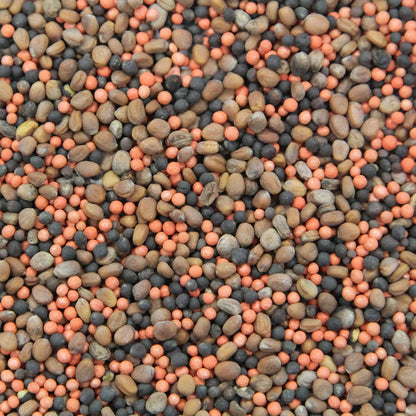 Crush Pro Brassica Blend - Fall Deer Food Plot Seed - Frost-Sweetened Brassicas for Heavy Graze, Strong Trail-Cam Traffic, and Repeat Site Visits - 2 lb