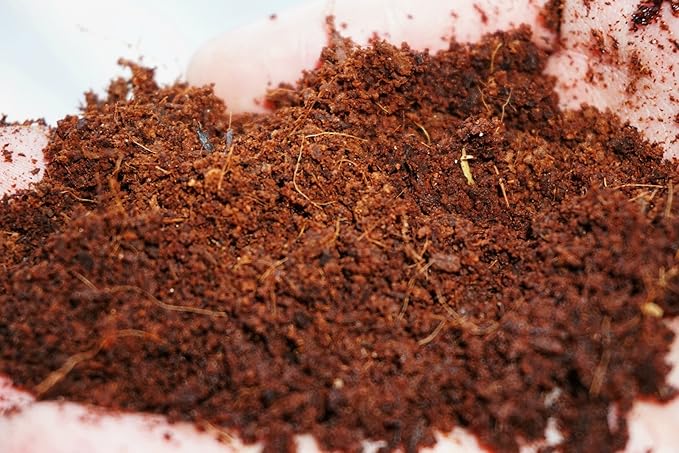 Coco Coir Brick, OMRI Listed for Organic Use (10)