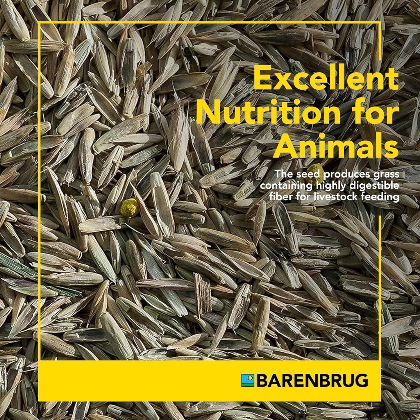 Pasture Seed, 25 lb 23094