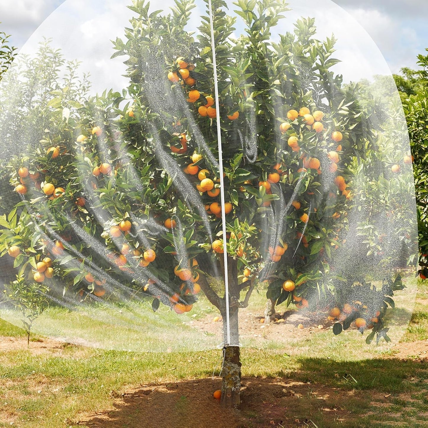 TWOWYHI 2Pack Garden Netting 8.2X8.2 Feet Large Fruit Tree Netting with Zipper and Drawstring Insect Bird Cover for Fruits Vegetables Tree Garden Protection
