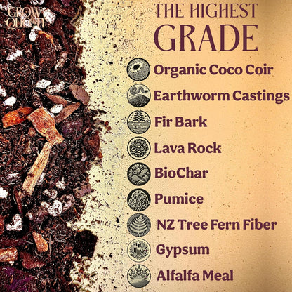 Craft Aroid Potting Mix- Elite Organic Alocasia, Philodendron, Monstera Soil Mix, Chunky, Well Draining Potting Soil for Indoor Plants, All Tropical Plants & Houseplants, Perlite & Peat Free 2QT
