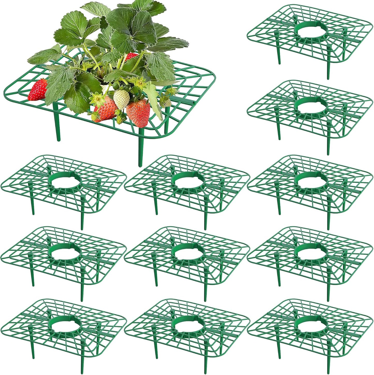 Iceyyyy 12 Packs Square Strawberry Supports-Strawberry Growing Racks- Plant Support Strawberry Stand Holder Growing Frame Keep Berries Clean (Square 12PCS)