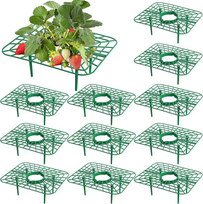 Iceyyyy 12 Packs Square Strawberry Supports-Strawberry Growing Racks- Plant Support Strawberry Stand Holder Growing Frame Keep Berries Clean (Square 12PCS)