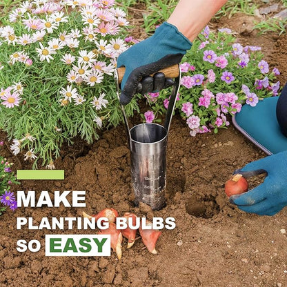 Haliaeetus Bulb Planter Tool, 6 inches Depth Mark Hand Bulb Planter, Non-Bending Stainless Steel Bulb Planter Digger, Garden Bulb Transplanter with Comfortable Wood Handle for Planting Tulip, Daffodil