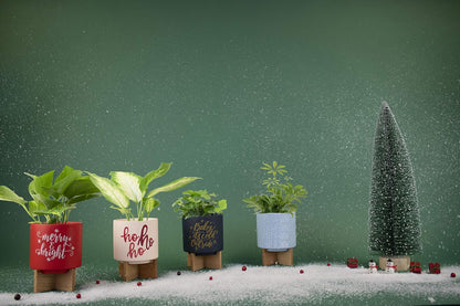 Ceramic Holiday Planter Pot, Merry & Bright Design, Red & White, Holds 4" House Plant or Succulent, Festive Winter Christmas Home Décor with Wood Stand