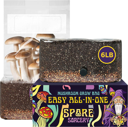 6 LB All-in-One Mushroom Grow Bag: Up to 48oz of Mushrooms! Nutrient-Enhanced, Injection Port, Just Add Your Own Spores & Grow Like Magic (6 LB Bag)