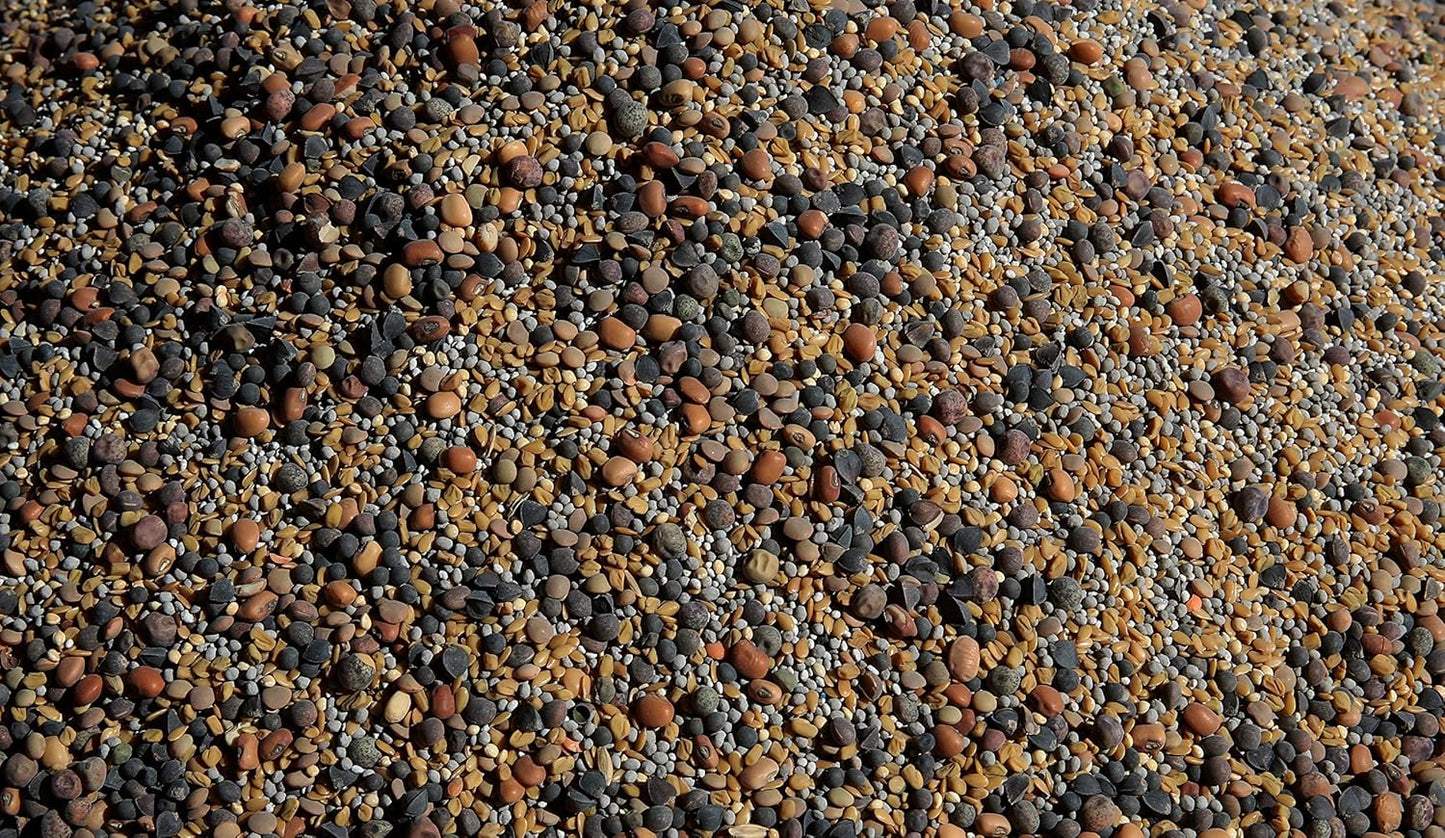 No-Till Cover Crop 13-Seed Mix: 50% Clovers Plus Fenugreek, Vetch, Flax, Cowpeas, Buckwheat, Forage Peas, Millet, Lentils (5-lb. Bag (Five Pound)