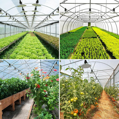 Outdoor LED Grow Lights, Waterproof String Plant Growing Light, Full Spectrum Growth Light with Timer, Suitable for Garden, Farm, Flower, Seedling Greenhouse Grow Light (6 Lights)