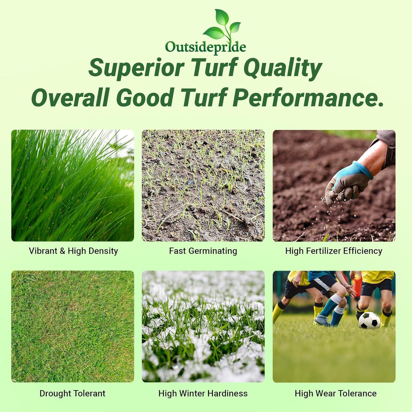 Outsidepride Royal TXD Bermuda Grass Seed Blend - 1 lb. Warm Season, Fast Growing Turf Grass Seeds: Heat & Drought Tolerant, Ideal for Home Lawns & Sports Fields, Dense & Lush Green Coverage