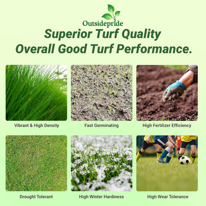 Outsidepride Royal TXD Bermuda Grass Seed Blend - 1 lb. Warm Season, Fast Growing Turf Grass Seeds: Heat & Drought Tolerant, Ideal for Home Lawns & Sports Fields, Dense & Lush Green Coverage