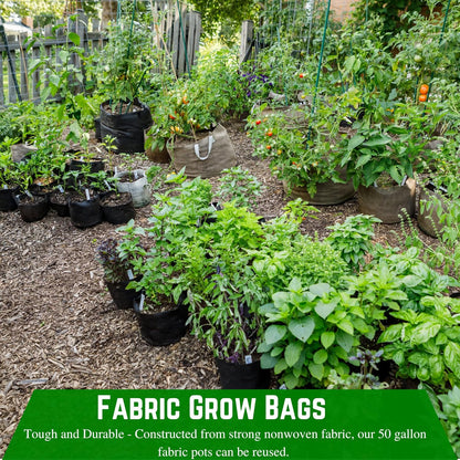 Farm Plastic Supply - 3 Gallon Fabric Grow Bags - (10 Pack) - Nonwoven Fabric Pots with Handles, Grow Bag, Plant Grow Bags, Garden Bag, for Farming, Gardening, Agriculture