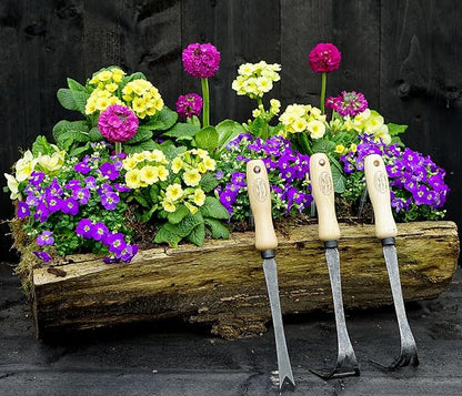 DeWit Daisy Grubber – Bio Weed Remover for Dandelions & Tough Weeds – Hardened Boron Steel with Ash Wood Handle